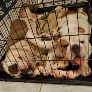 Meet your Posher, Mauro